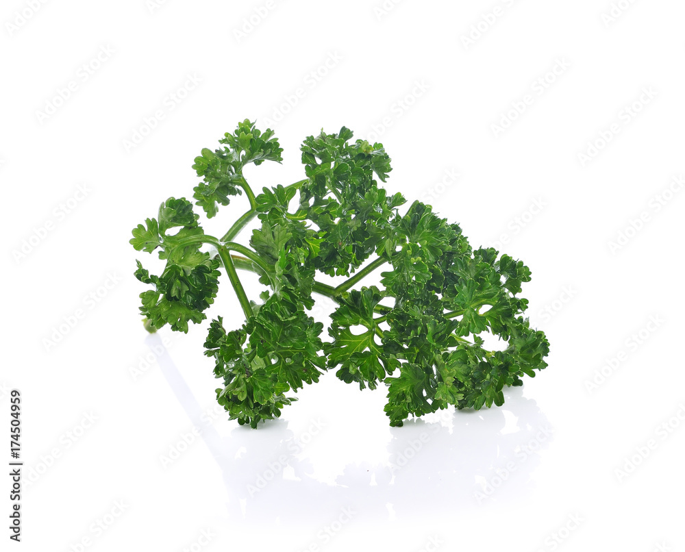 Fototapeta premium parsley isolated on a white background