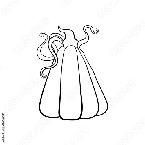 Vector outline illustration of a pumpkin on a white background