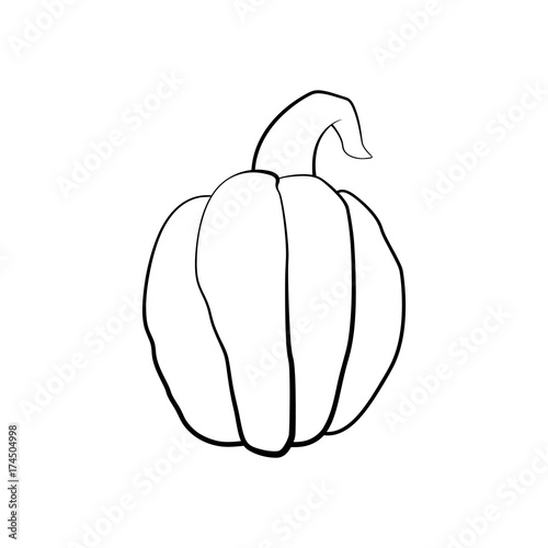 Vector outline illustration of a pumpkin on a white background