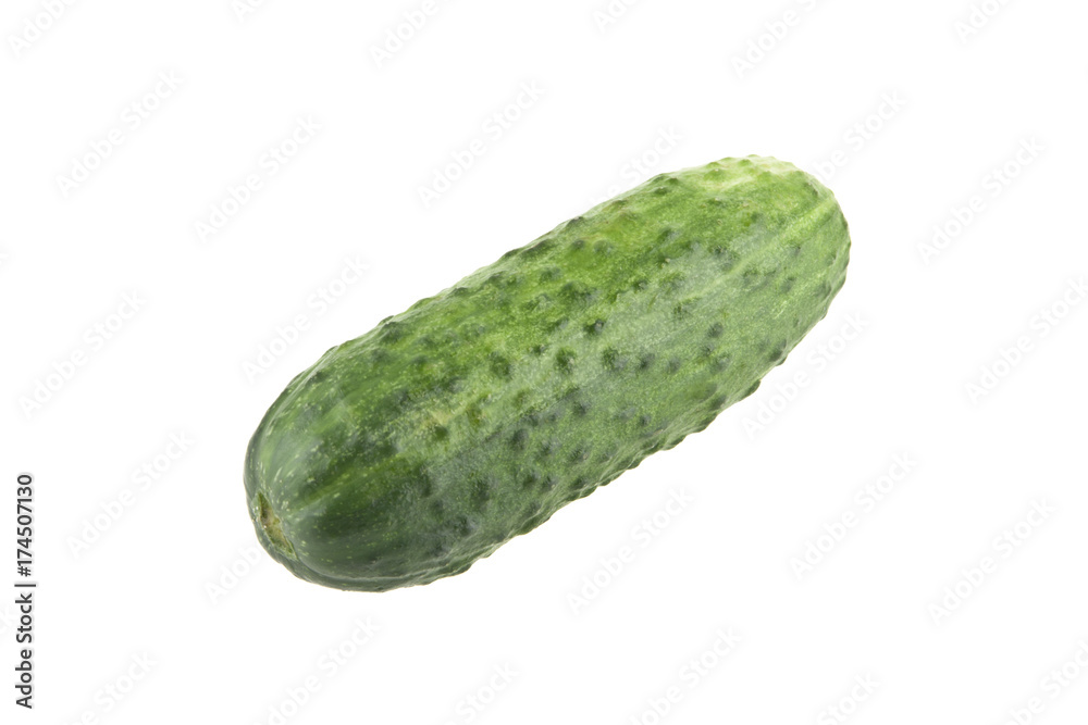 fresh cucumber isolated on white background fresh cucumber isolated on white background