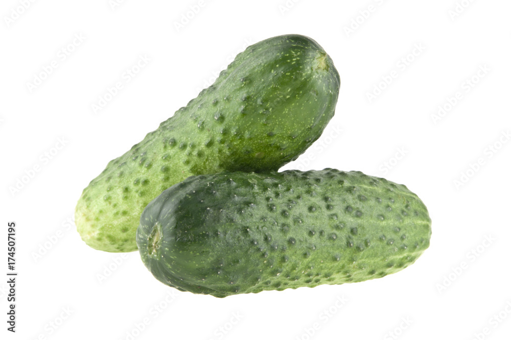 fresh cucumber isolated on white background fresh cucumber isolated on white background