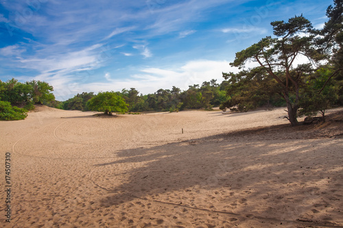Dünenlandschaft Sand Dünen Nationalpark Loonse und Drunense Dünen
