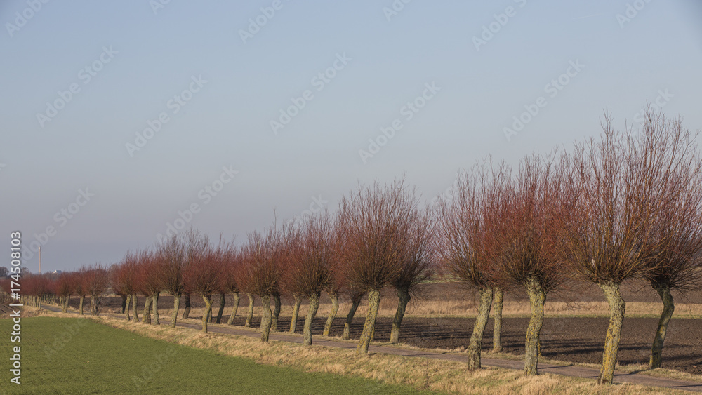 Obraz premium Skåne landscape