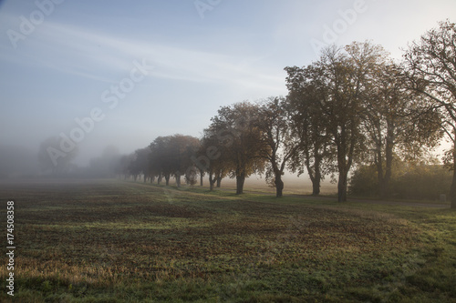 Skåne landscape