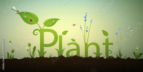 Text letters plant and green spring sprout with roots and red ladybug in the soil, summer garden inscription,