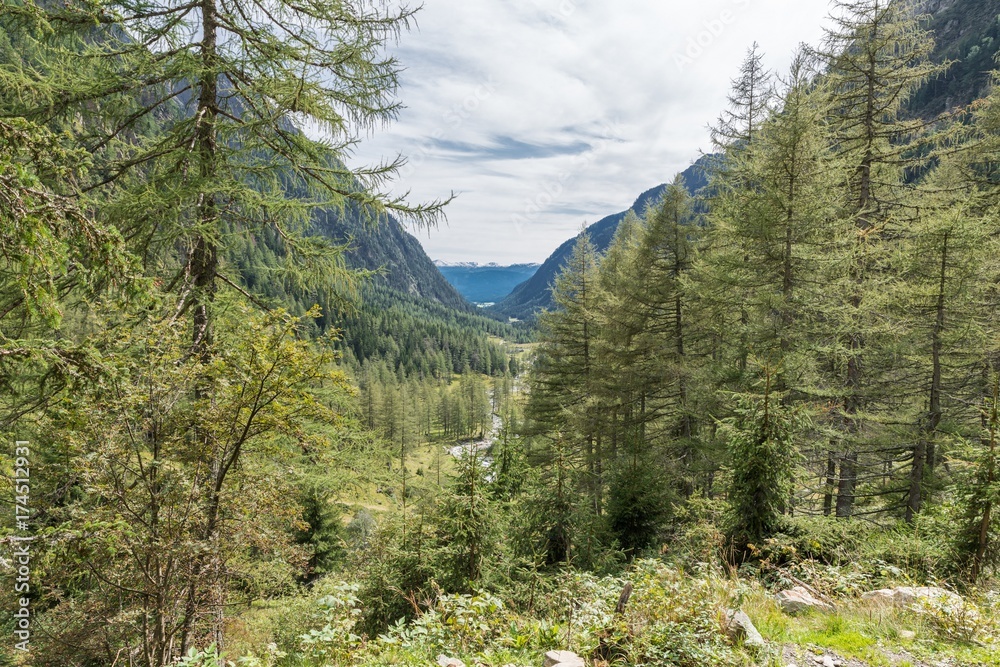 Göriachtal im Lungau mit Blick auf die Berge, Österreich Göriachtal im Lungau mit Blick auf die Berge, Österreich