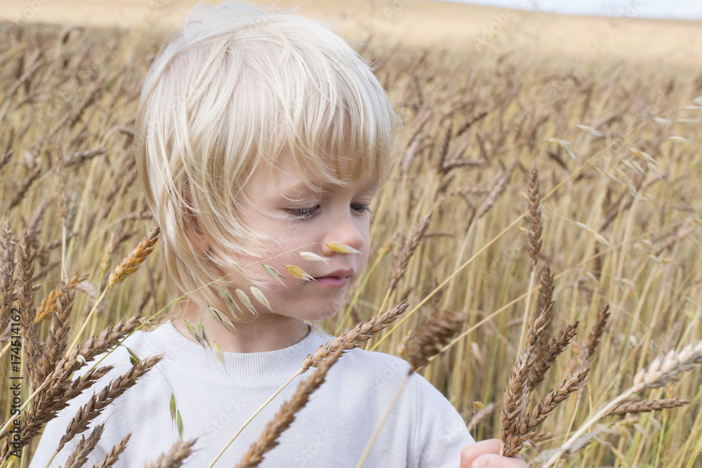Blond Slavic happy kid boy at a ripe rye wheat field, autumn harvest, Russia, the Urals