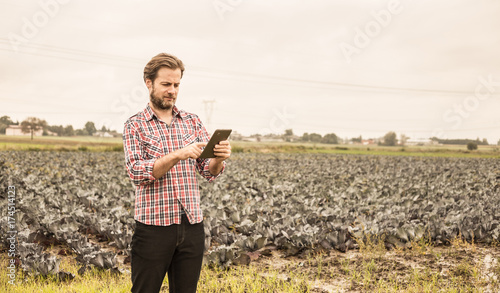 Farmer working on  using  tablet in front of cabbage field