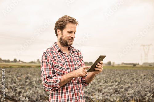 Farmer working on (using) tablet in front of cabbage field