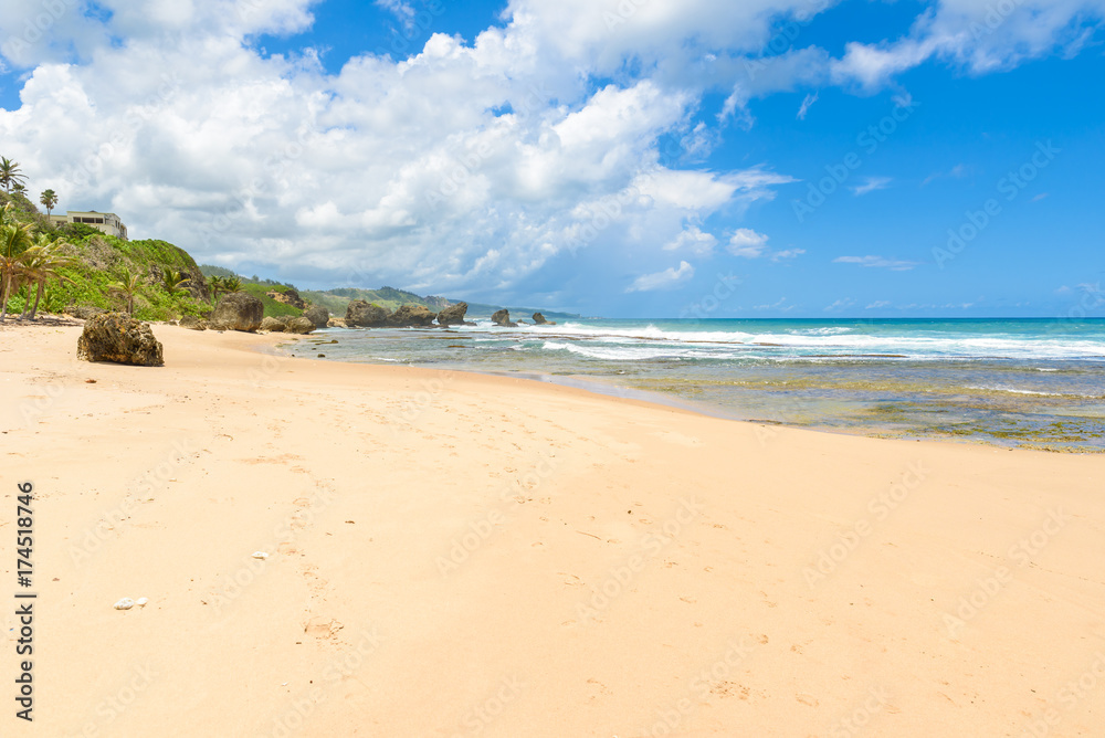 Rock formation on the beach of Bathsheba, East coast of  island Barbados, Caribbean Islands - travel destination for vacation