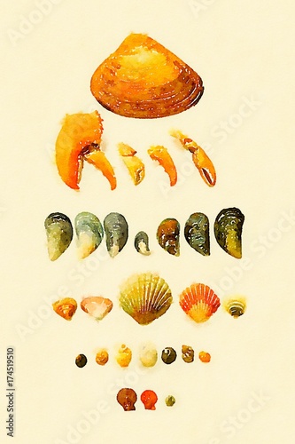 Watercolor of sea treasure