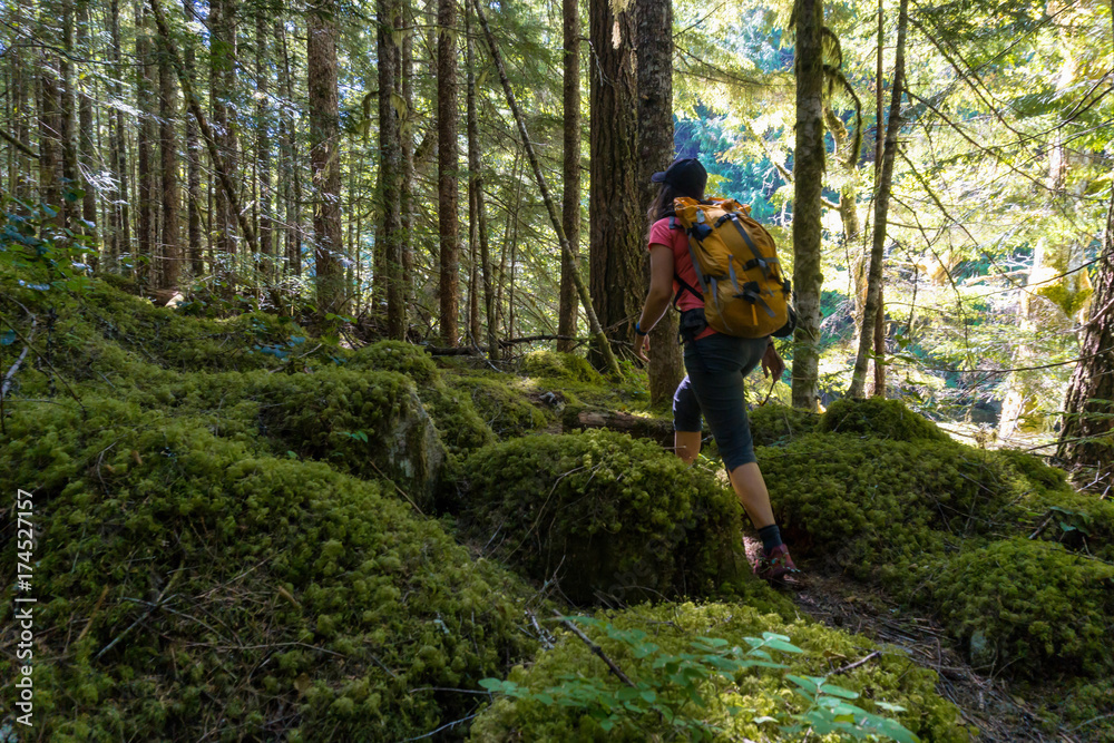 Beautiful view of a hiking trail during a vibrant summer day. Taken near Chilliwack, East of Vancouver, British Columbia, Canada.
Beautiful view of a hiking trail during a vibrant summer day. Taken near Chilliwack, East of Vancouver, British Columbia, Canada.