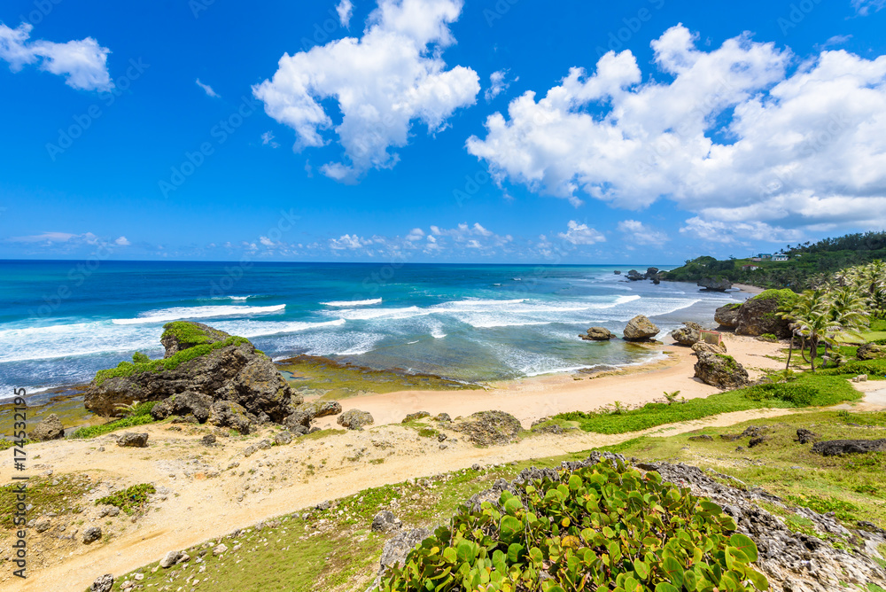 Rock formation on the beach of Bathsheba, East coast of island Barbados, Caribbean Islands - travel destination for vacation Rock formation on the beach of Bathsheba, East coast of island Barbados, Caribbean Islands - travel destination for vacation