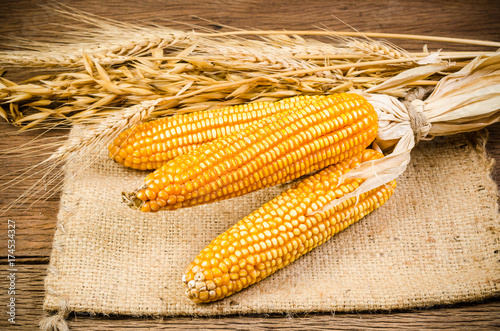 Dried corn with barley and oat on wooden table photo