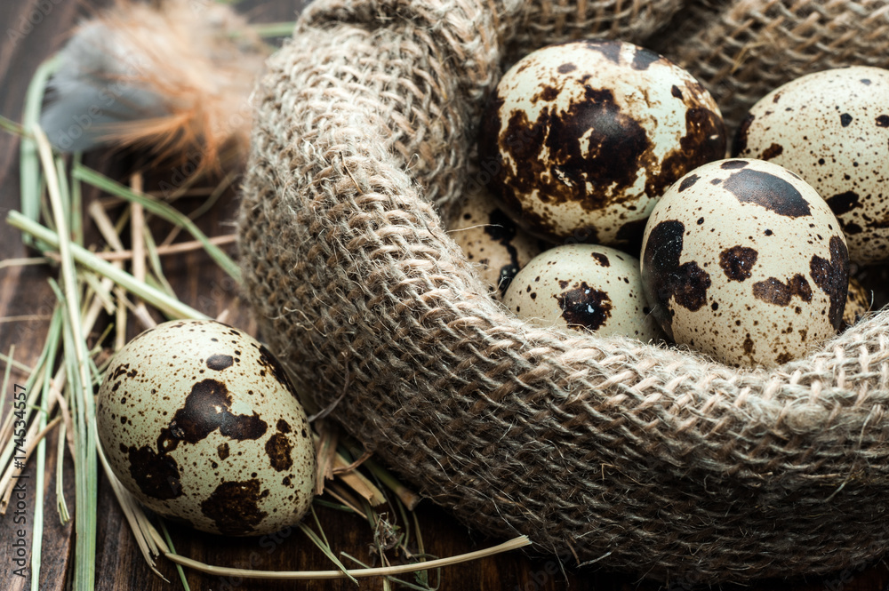 quail eggs in burlap sack over dark wooden background quail eggs in burlap sack over dark wooden background