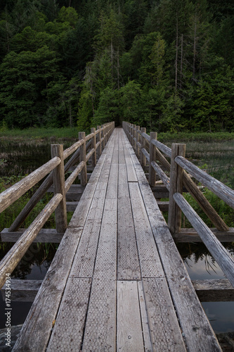 Wooden bridge across swampy water full of leafs and grass. Taken in Brohm Lake  between Squamish and Whistler  North of Vancouver  BC  Canada.