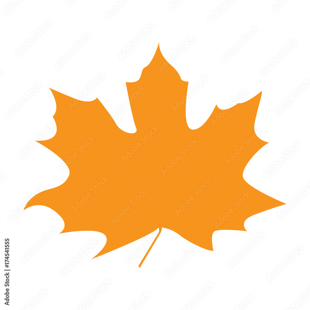 Isolated silhouette of a fall leaf, Vector illustration Isolated silhouette of a fall leaf, Vector illustration
