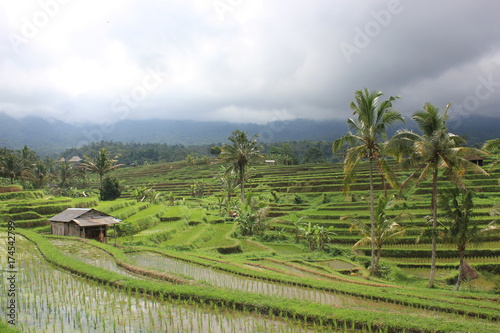 JATILUWIH 