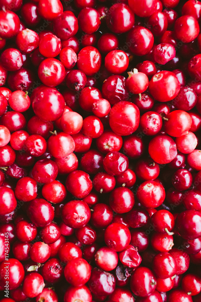 natural sweet burgundy red wallpaper of berry fresh cranberries cranberry close-up natural sweet burgundy red wallpaper of berry fresh cranberries cranberry close-up