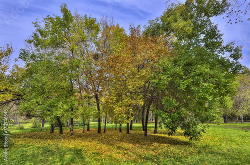 Bright colorful autumn landscape in the city park