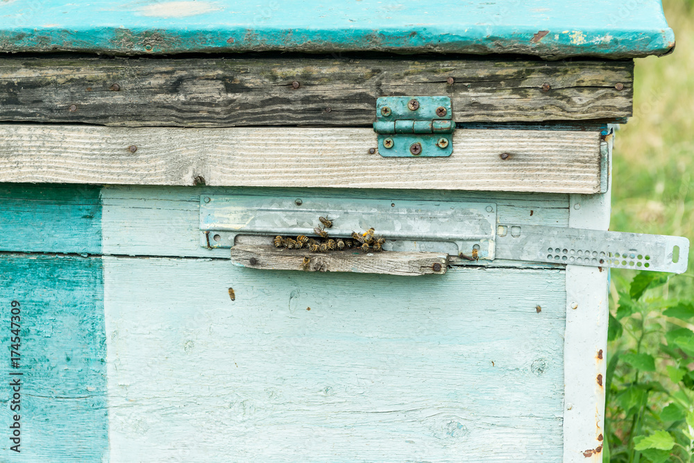 Beehive - the house of bees in the bosom of nature. Work beekeeper. Healing product of beekeeping. May, flower honey. Beehive - the house of bees in the bosom of nature. Work beekeeper. Healing product of beekeeping. May, flower honey.