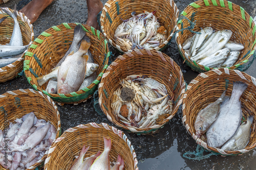 Different fishes,squids,crabs fresh after fishing placed in baskets in a fish market