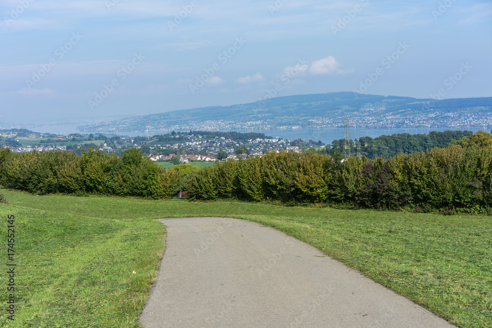 Obraz premium landscape of lake zurich in summer from hiking trail switzerland tourism travel destination nature blue sky