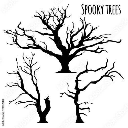 Collection of trees silhouettes on the white background