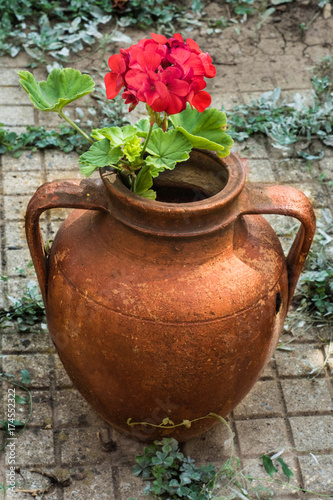 Beautiful flower in an old vase