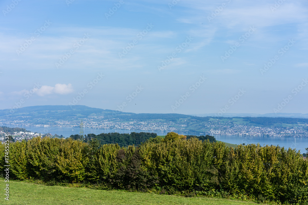 Obraz premium landscape of lake zurich in summer with tree line hiking trail switzerland tourism travel destination nature panorama