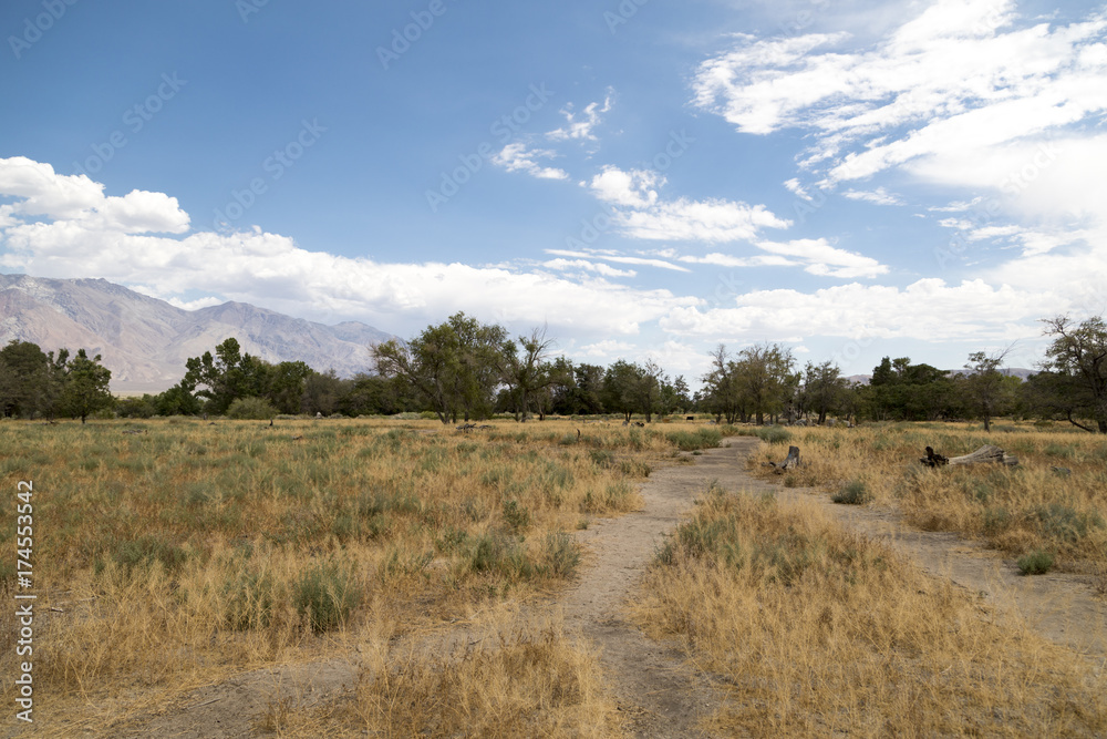 Owens Valley landscape in California 
