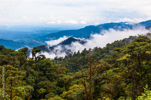 The Ecuadorian rainforest