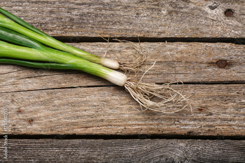 Spring onion on the table