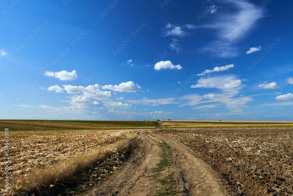 Naklejka premium Agricultural road through fields