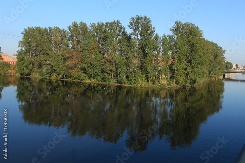 forest on the island