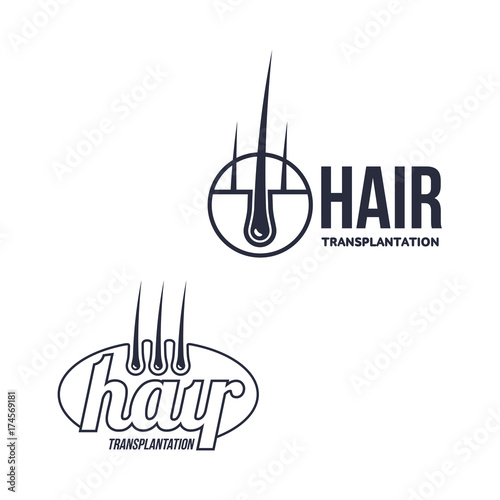 Hair follicle in hair bulb with human skin, dermis. Medical folicle transplantation company logo, brand icon pictogram design set. Vector flat silhouette illustration isolated on a white background. photo