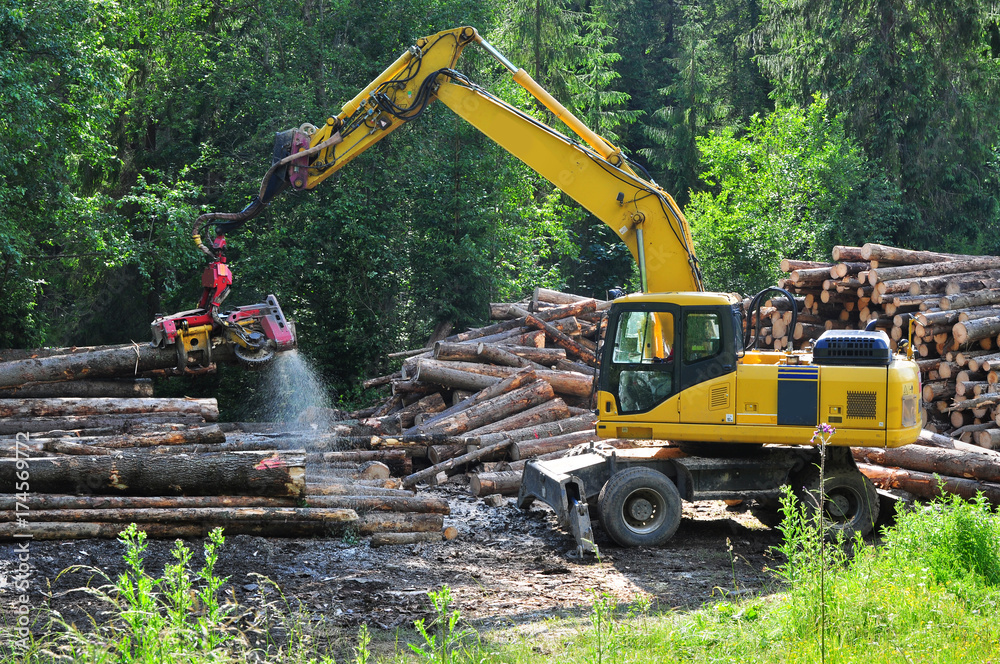 Wood production engine cutting logs Wood production engine cutting logs