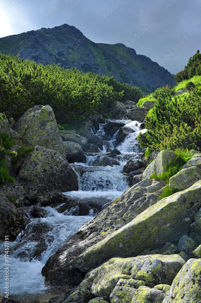 Nature mountains Tatras Nature mountains Tatras