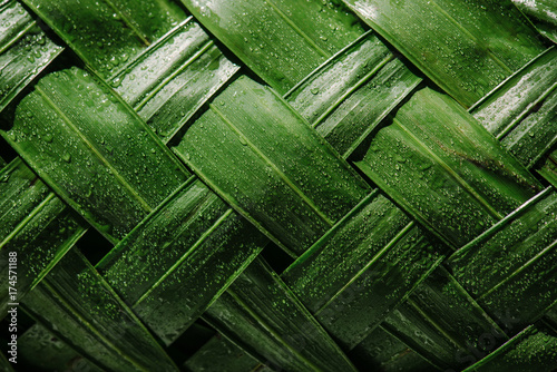 Close-up of woven leaf