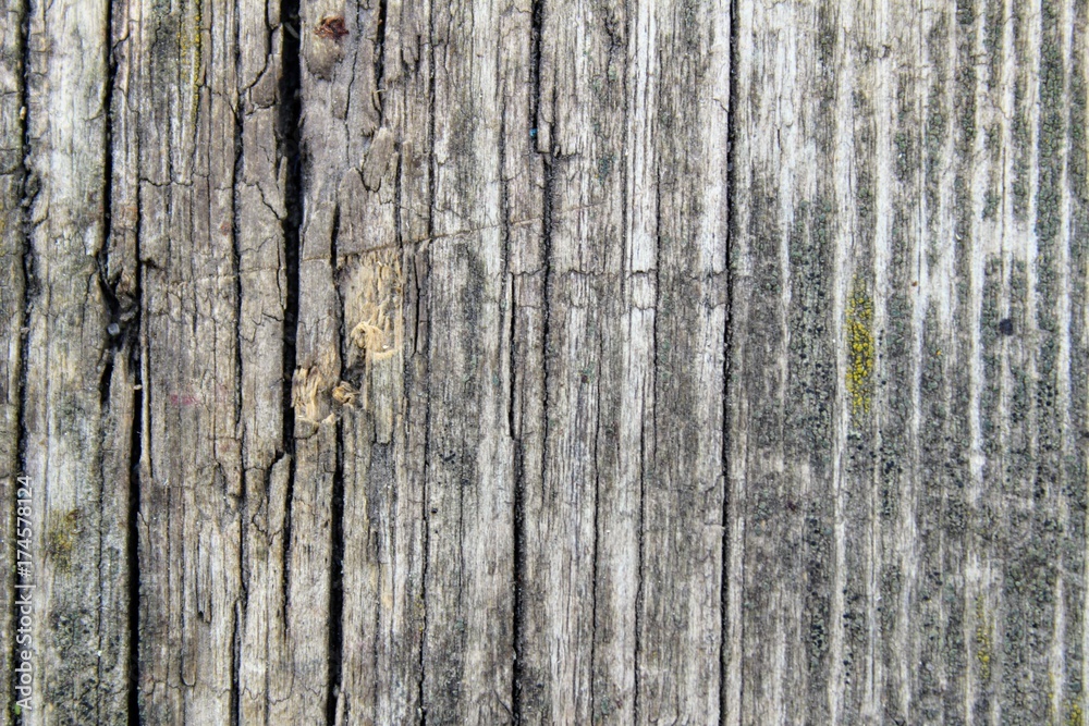 Wood texture - dark destroyed fiber of old wooden buildings. Wood texture - dark destroyed fiber of old wooden buildings.