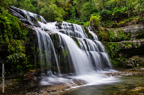 Liffey Falls State Reserve at the Midlands region of Tasmania  Australia..
