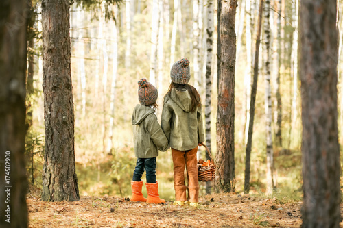 Gathering of mushrooms.