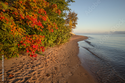 Fototapeta Naklejka Na Ścianę i Meble -  Autumn Lake Shore Background. Sandy beach framed by vibrant fall foliage in the Upper Peninsula of Michigan.