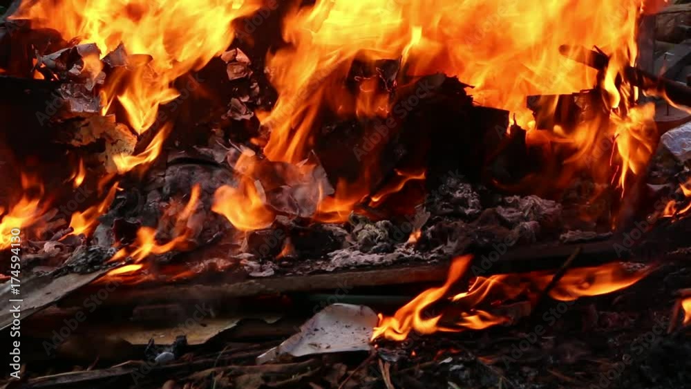 Fire Burns with moving flames and smoke
Fire Burns with moving flames and smoke