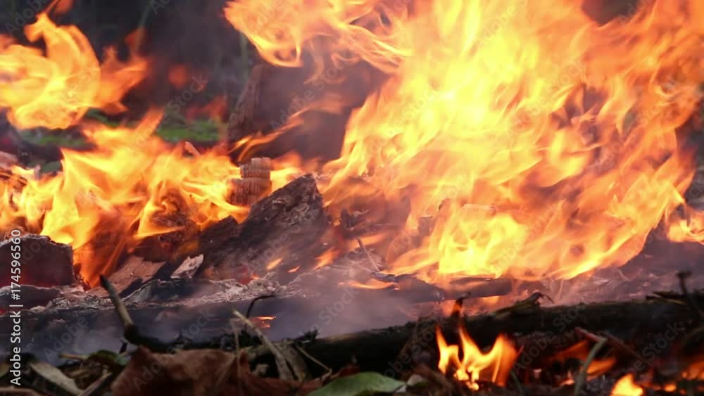Fire Burns with moving flames and smoke
Fire Burns with moving flames and smoke