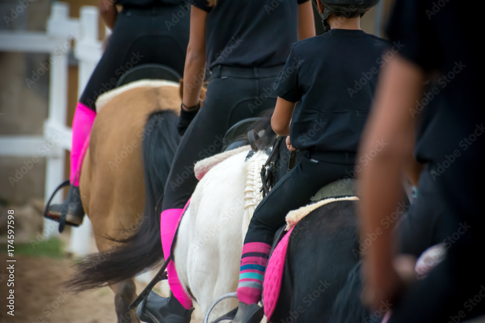back side view of a group of riders back side view of a group of riders