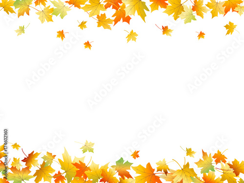 Autumn leaves. Vector background with fall maple leaves. Flying foliage framed white background. Autumn vector design 
