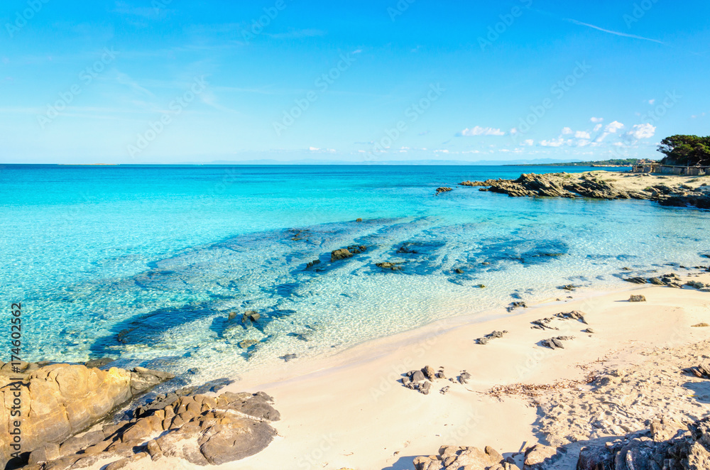 Obraz premium Beautiful sandy beaches of the Mediterranean, La Pelosa, Stintino, Sardinia