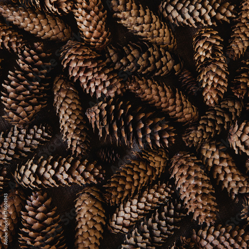 Cozy background of pine cones. Autumn mood brown backdrop. Fir bumps pattern © yolya_ilyasova
