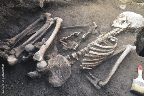 Tableau sur toile Archaeological excavations and finds (bones of a skeleton in a human burial),  working tool, ruler, knife, brush, a detail of ancient research, prehistory